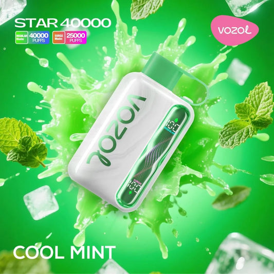 Vozol Star 40,000 Cool Mint Disposable