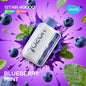 Vozol Star 40,000 Blueberry Mint Disposable.